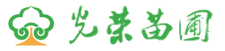 浏阳市柏加镇光荣苗圃